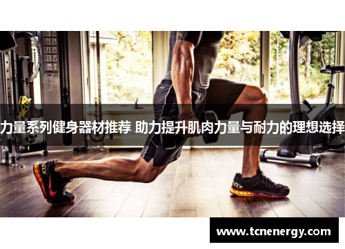 力量系列健身器材推荐 助力提升肌肉力量与耐力的理想选择