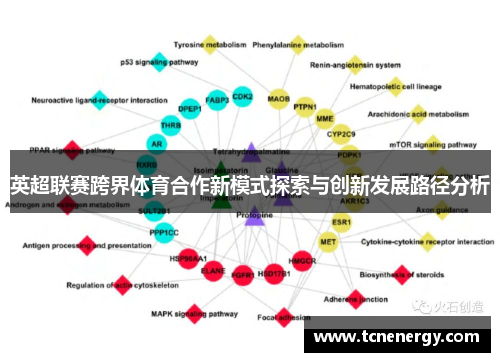 英超联赛跨界体育合作新模式探索与创新发展路径分析