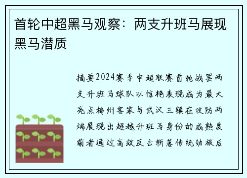 首轮中超黑马观察：两支升班马展现黑马潜质